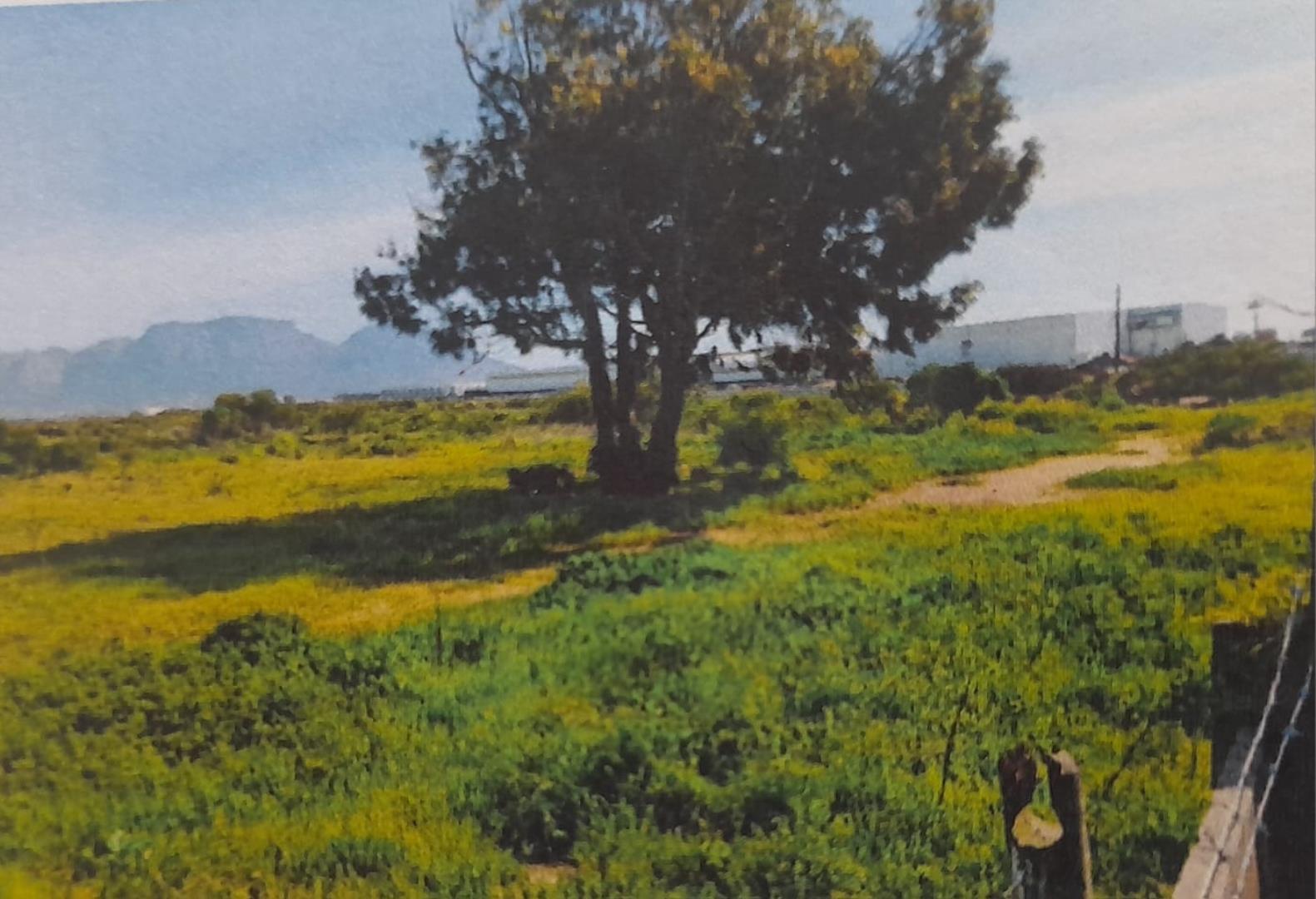 731847_farm1.jpg