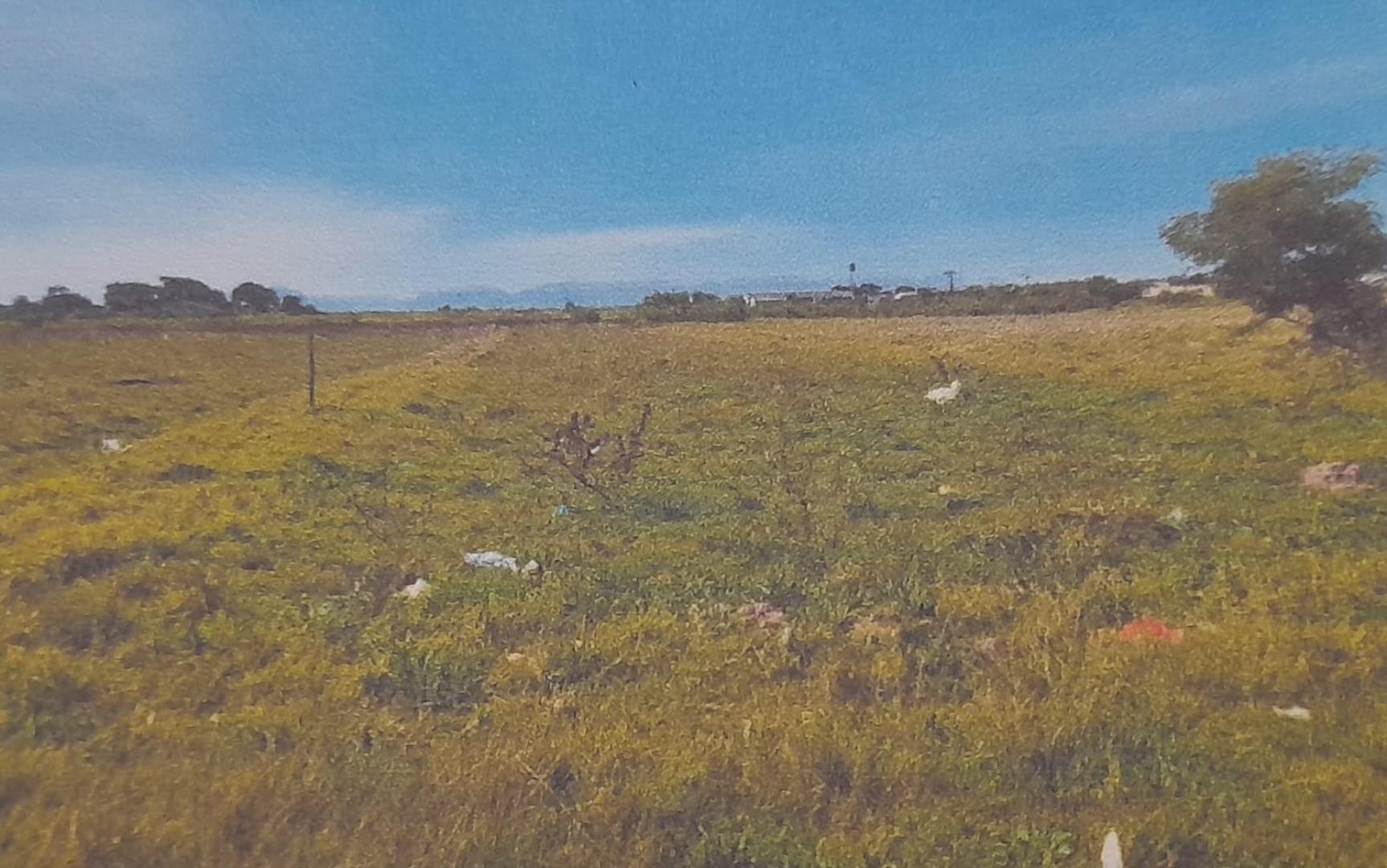731847_farm3.jpg