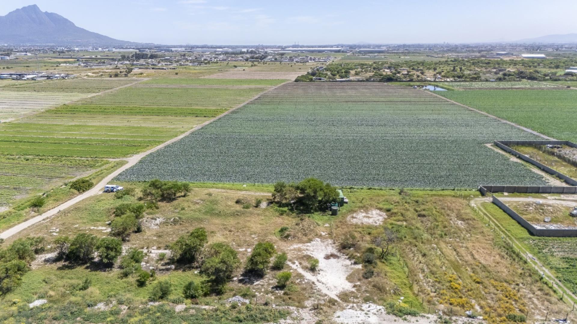 Farm for Sale - Western Cape